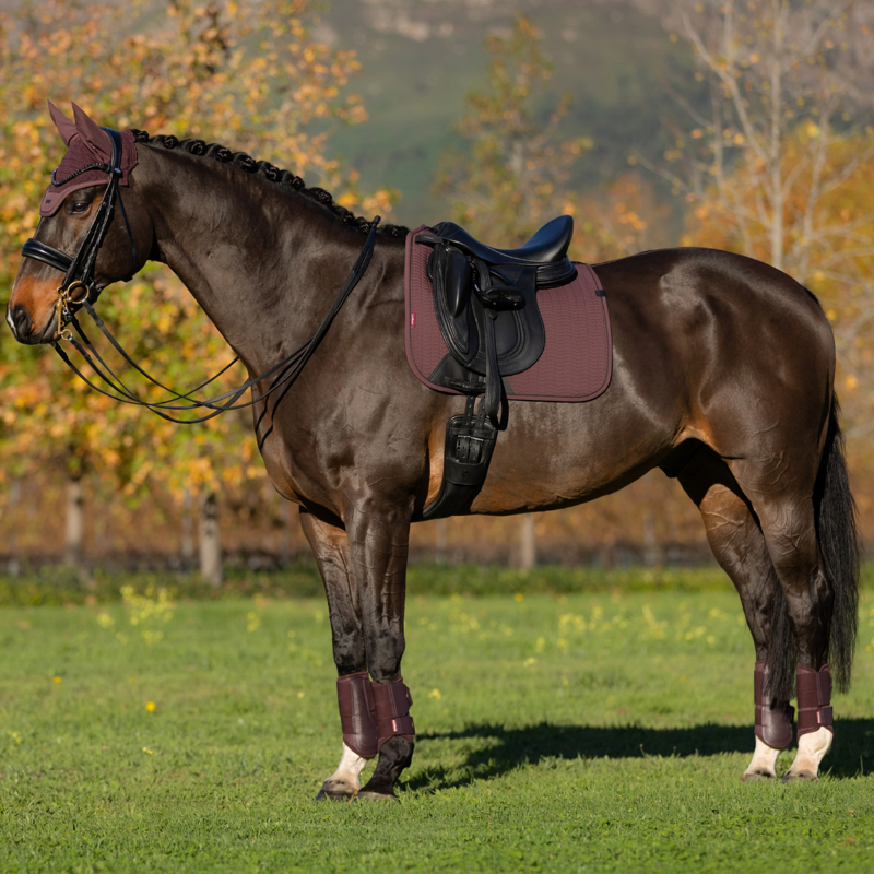 LeMieux Essence Dressage Square - Damson-4