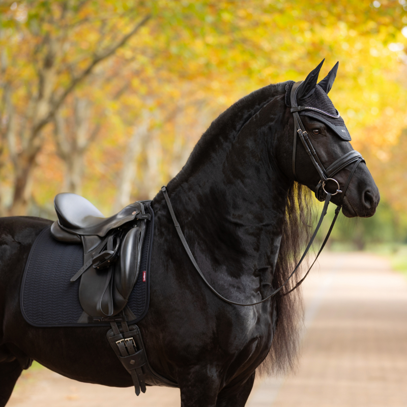LeMieux Essence Dressage Square - Black-6