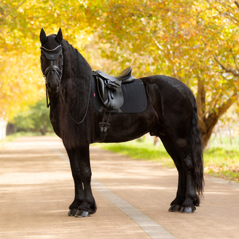 LeMieux Essence Dressage Square - Black-4