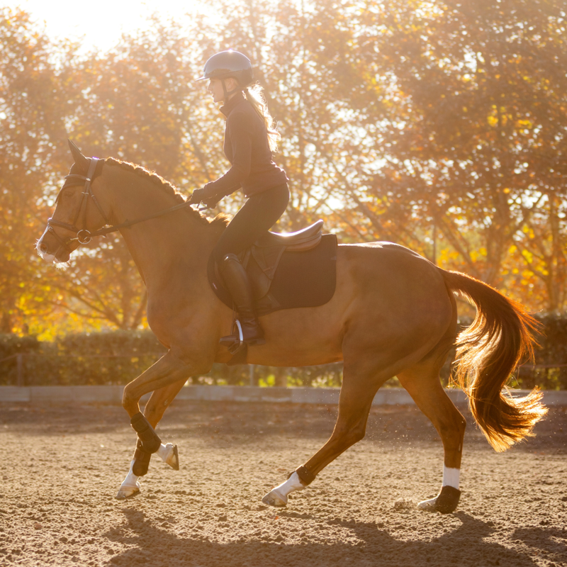 LeMieux Essence Eurojump Square - Black-4