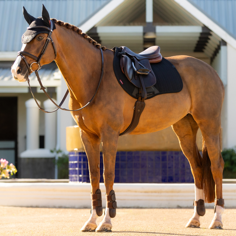 LeMieux Essence Eurojump Square - Black-3