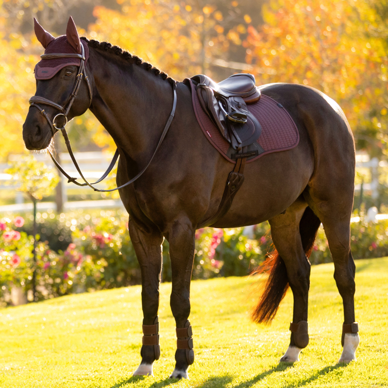 LeMieux Essence Eurojump Square - Damson-3