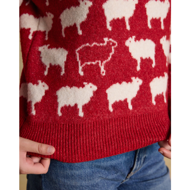 Joules Ladies Intarsia Knitted What The Flock Relaxed Fit Jumper - Red-6