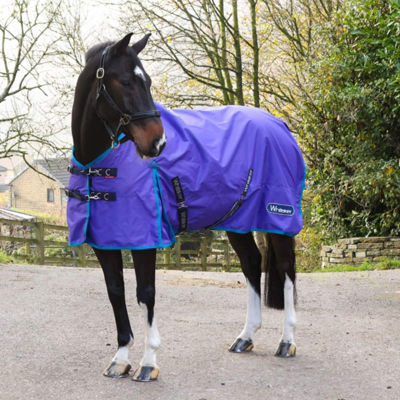John Whitaker Rastrick V2 0g Turnout Rug - Purple