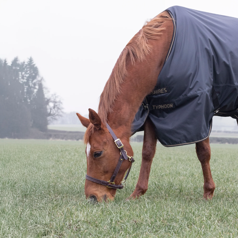 Shires Typhoon 50 Turnout Rug - Black-1