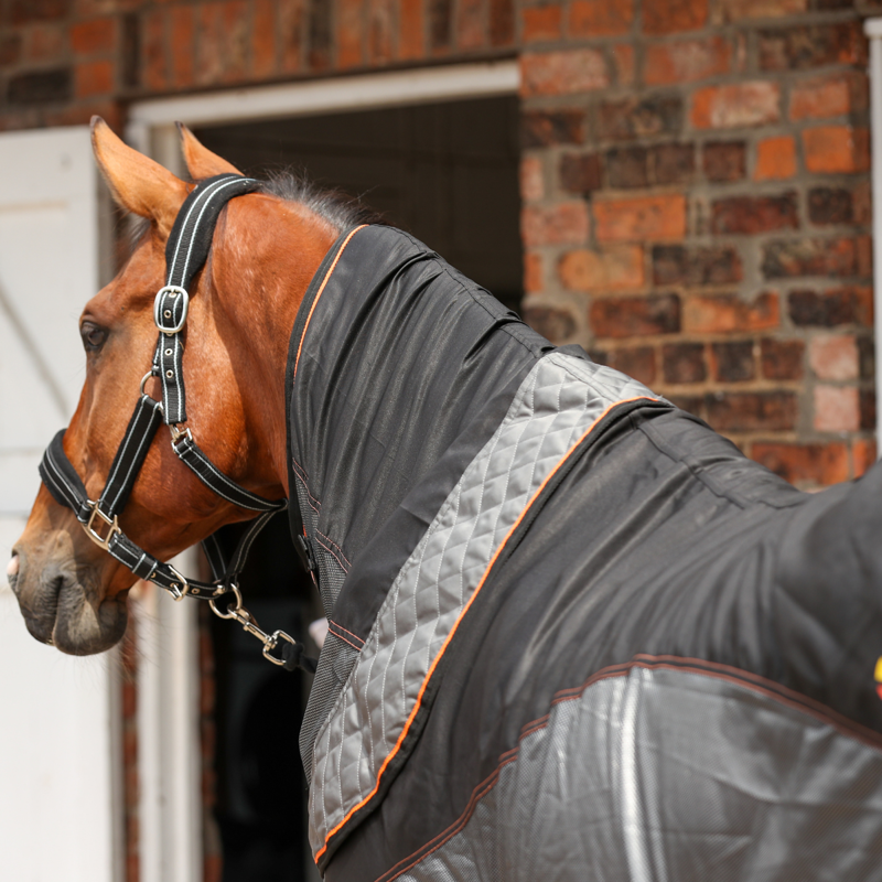 Equilibrium Therapy Magnetic Rug - Black/Orange-7
