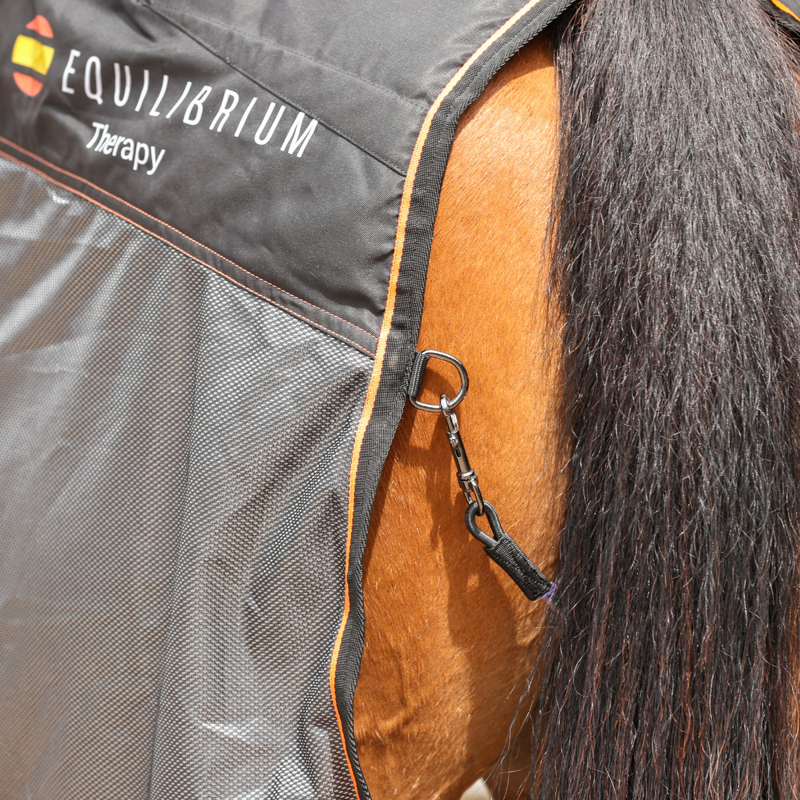 Equilibrium Therapy Magnetic Rug - Black/Orange-6