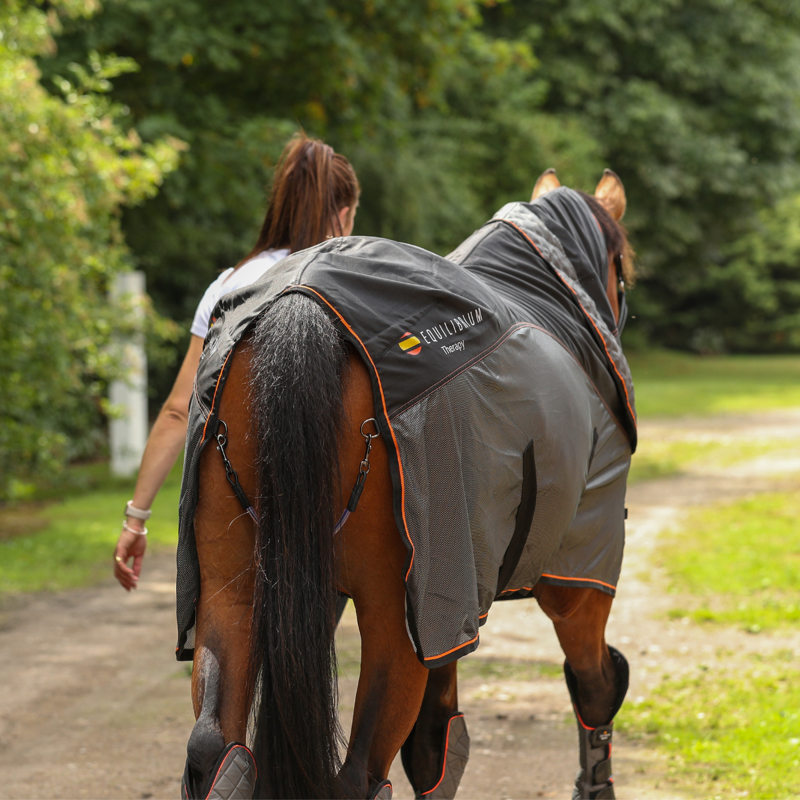 Equilibrium Therapy Magnetic Rug - Black/Orange-3