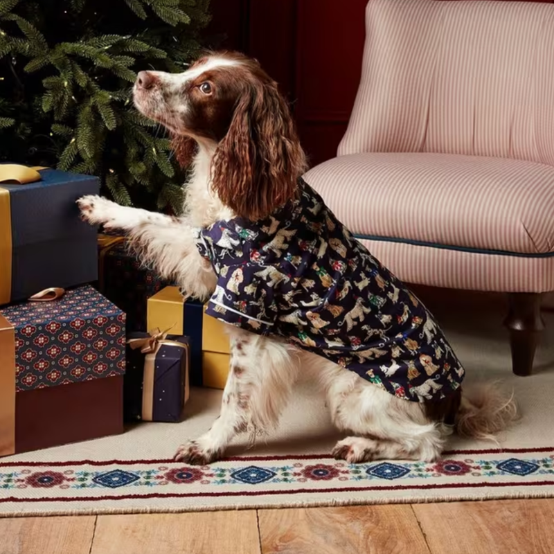 Joules Festive Dog Pyjamas
