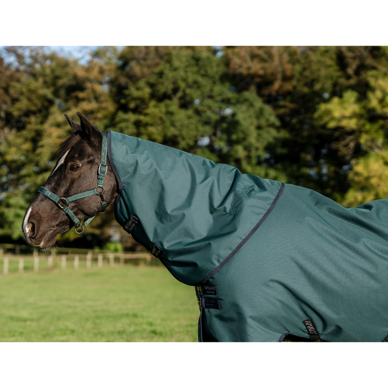 Horseware Amigo Ripstop 900D Plus 200g Turnout Rug - Dynasty Green/Navy Silver-2