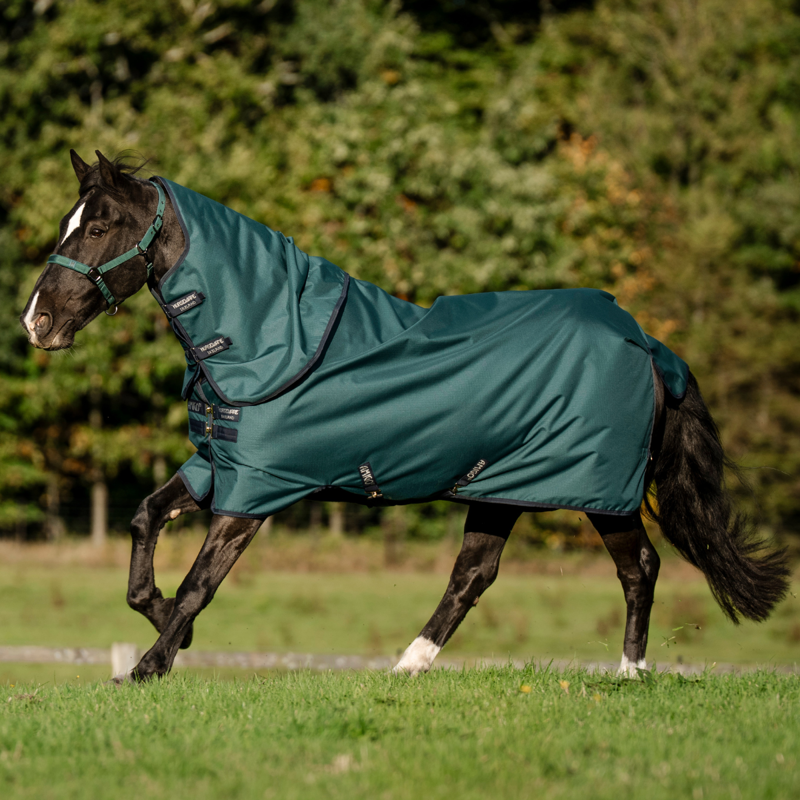 Horseware Amigo Ripstop 900D Plus 200g Turnout Rug - Dynasty Green/Navy Silver