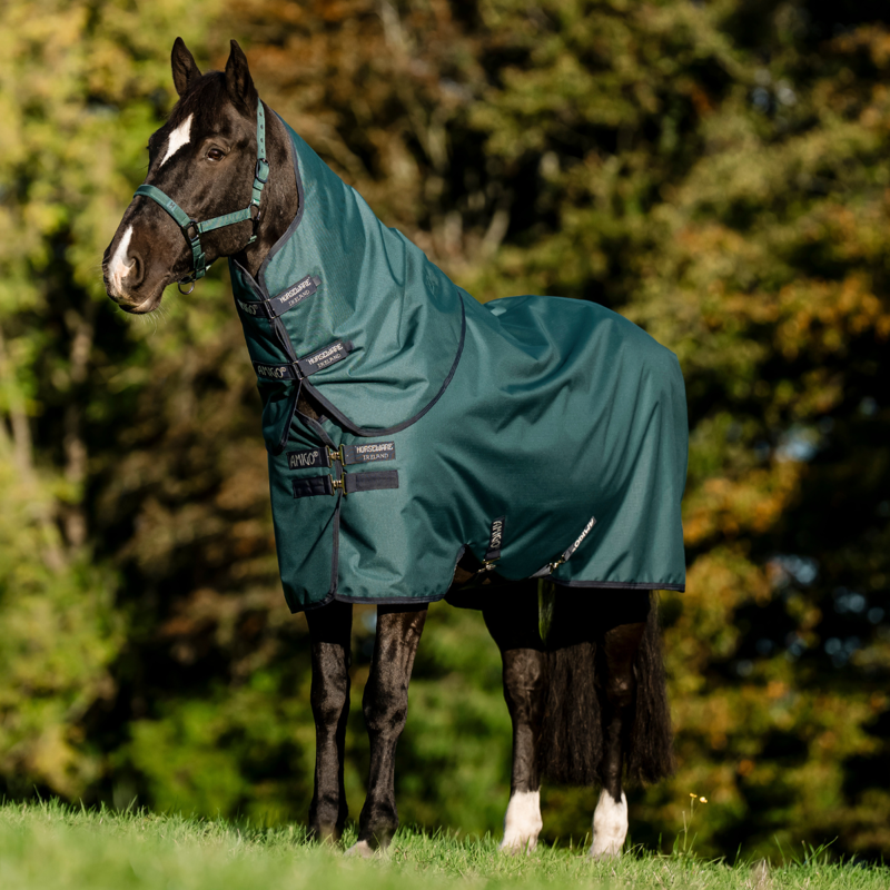 Horseware Amigo Ripstop 900D Plus 200g Turnout Rug - Dynasty Green/Navy Silver-1