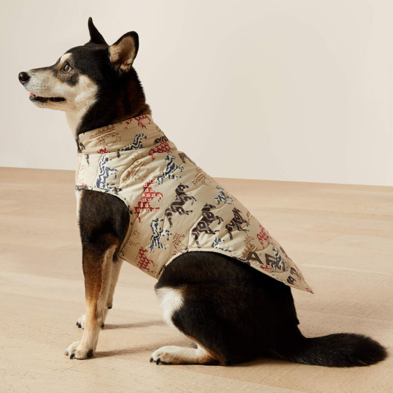 Ariat ACC Pup Puffer Jacket - Painted Ponies Print-1