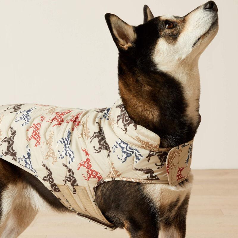 Ariat ACC Pup Puffer Jacket - Painted Ponies Print-2