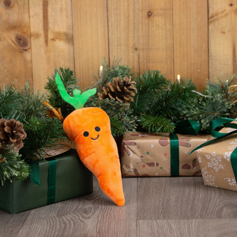 Ancol Mini Katie Carrot