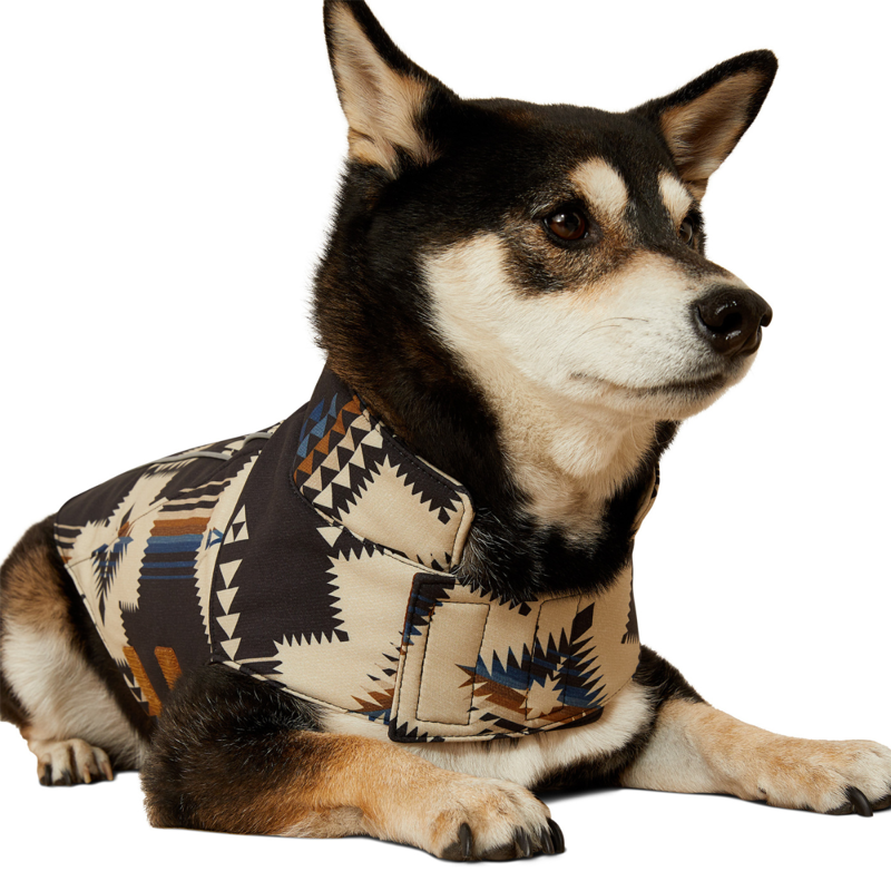 Ariat Team Softshell Dog Jacket - Thornstone Print-1