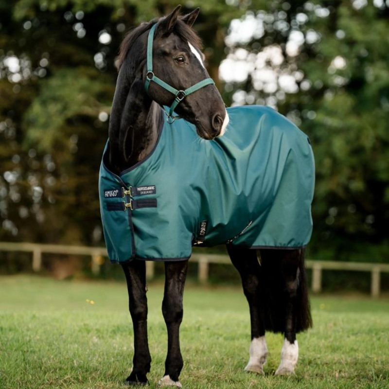 Horseware Amigo Ripstop 900D Pony Turnout 0g - Dynasty Green/Navy/Silver