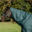 Horseware Amigo Ripstop 900D Turnout Hood 0g - Dynasty Green/Navy Silver
