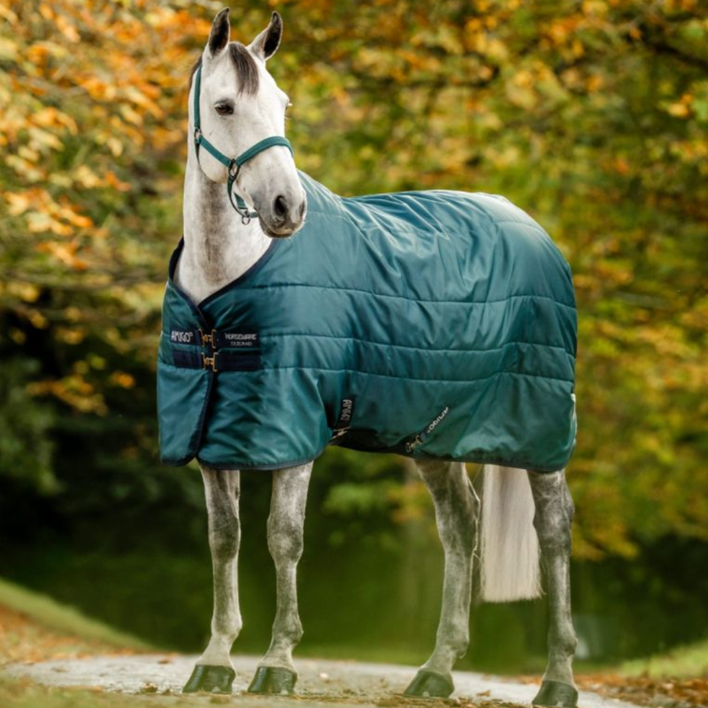 Horseware Amigo Ripstop 350g Insulator Stable Rug - Dynasty Green/Navy Silver