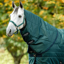 Horseware Amigo Ripstop 200g Insulator Stable Hood - Dynasty Green/Navy Silver