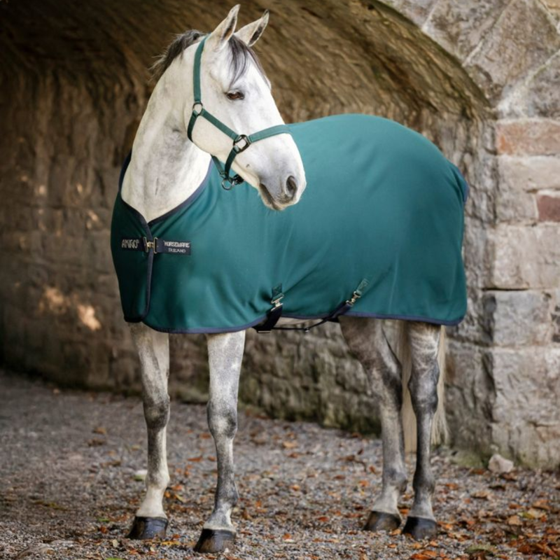 Horseware Amigo Jersey Cooler - Dynasty Green/Navy Silver