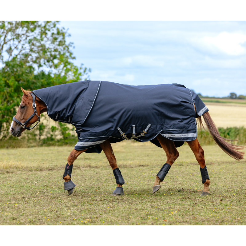 LeMieux Arika Storm-Tek Rug 350g - Navy-3
