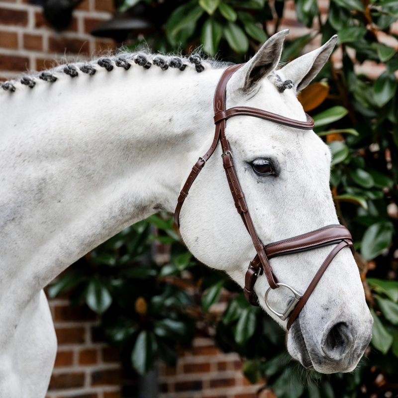 Horseware Dressage Flash Bridle - Brown-5