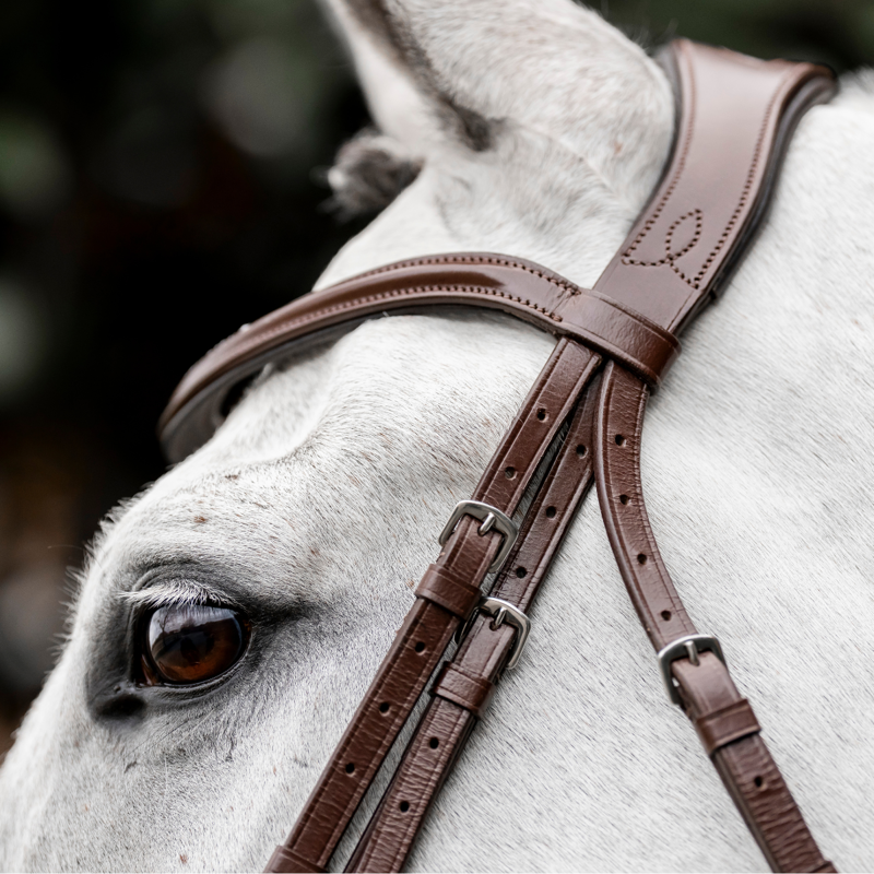 Horseware Dressage Flash Bridle - Brown-1