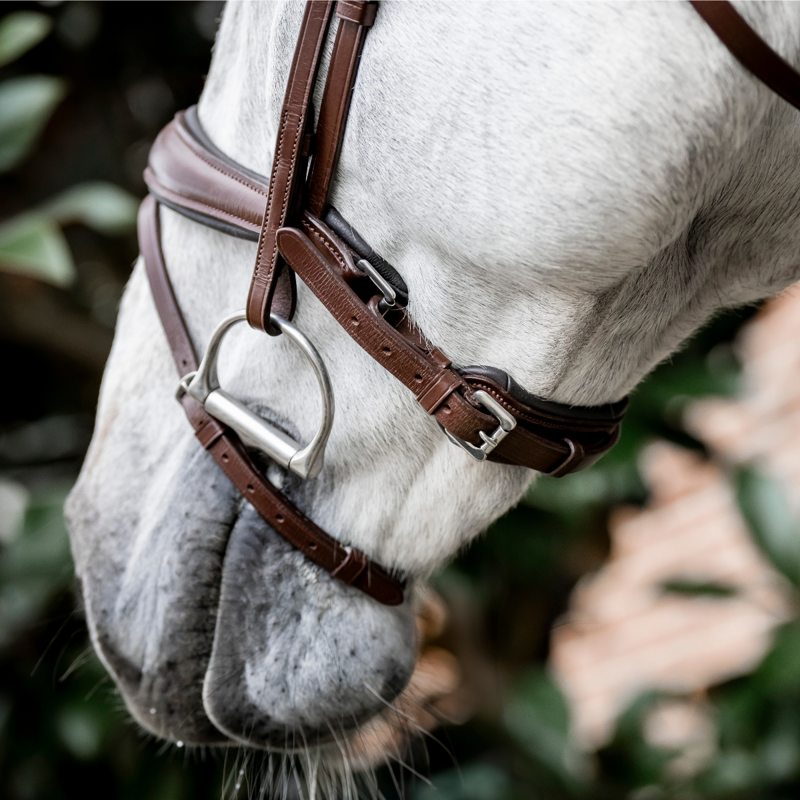 Horseware Dressage Flash Bridle - Brown-4