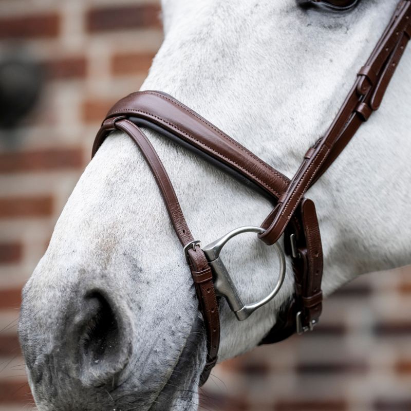 Horseware Dressage Flash Bridle - Brown-2