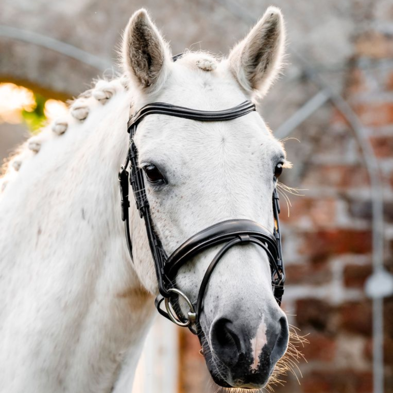 Horseware Pony  Flash Bridle  - Black-4