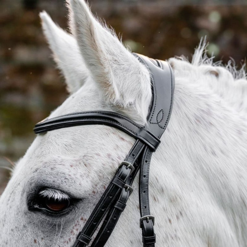 Horseware Pony  Flash Bridle  - Black-1