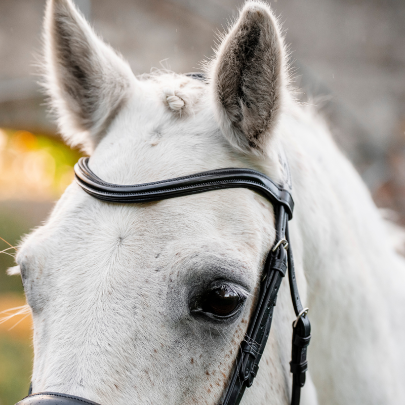 Horseware Pony  Flash Bridle  - Brown-1