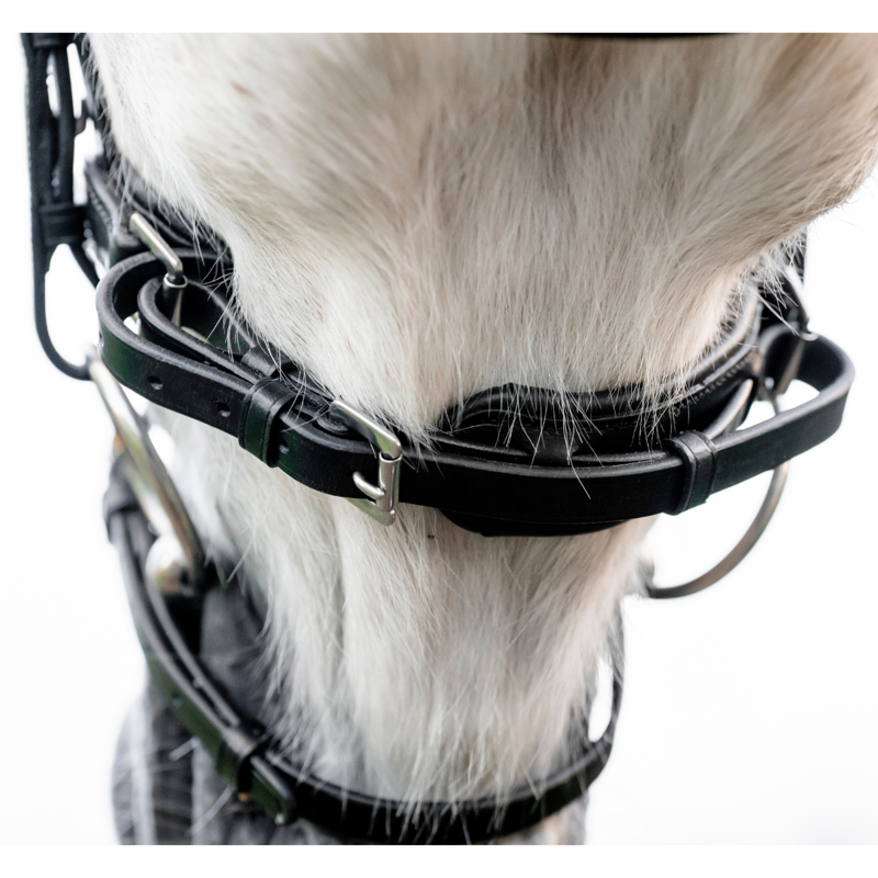 Horseware Pony  Flash Bridle  - Black-3