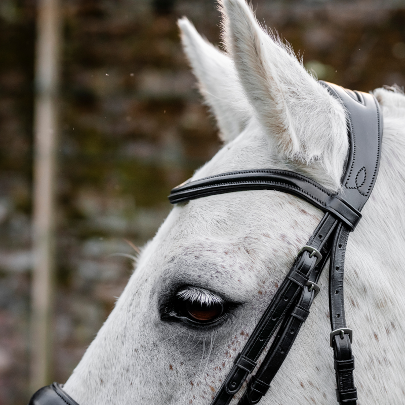 Horseware Pony  Flash Bridle  - Brown-2