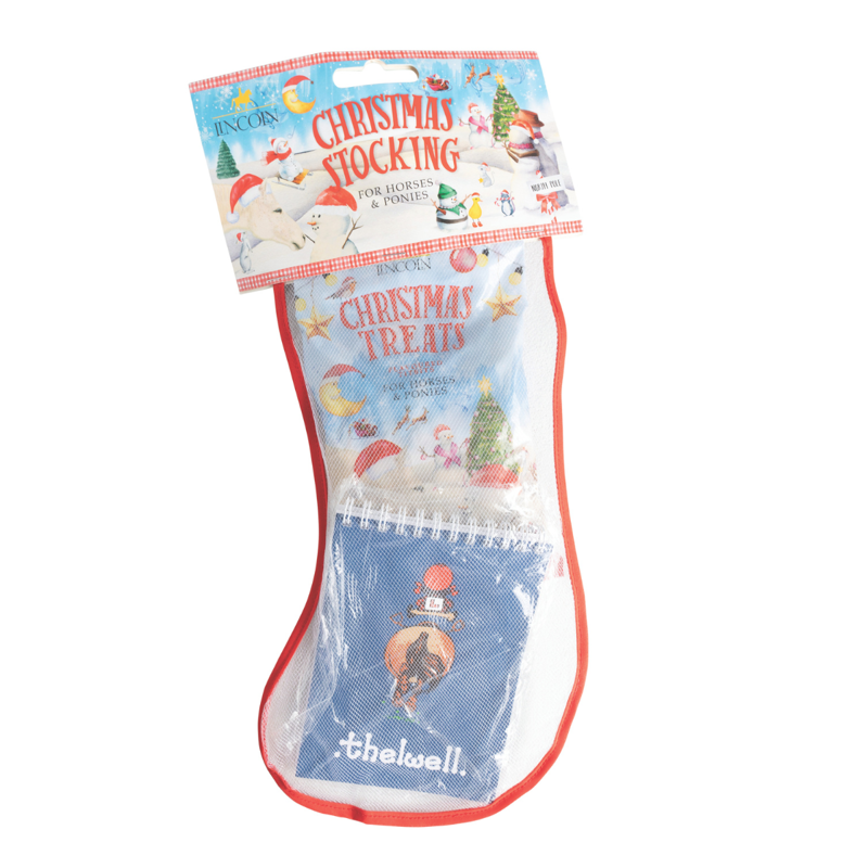 Lincoln Pony Mad Stocking