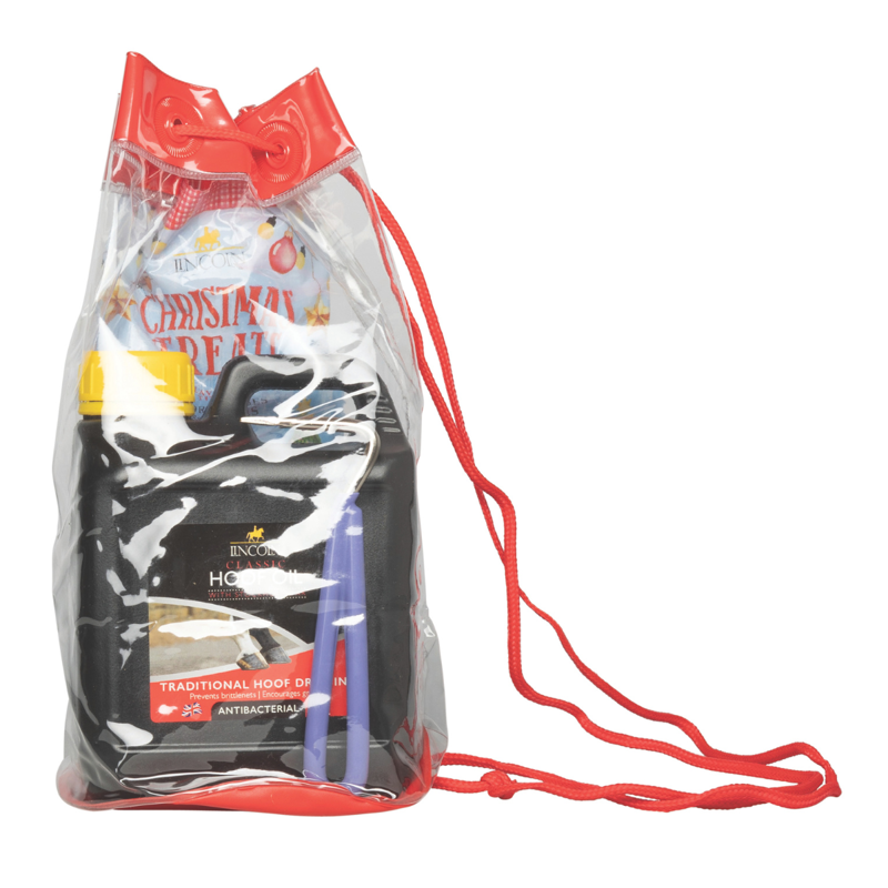 Lincoln Christmas Gift Bag