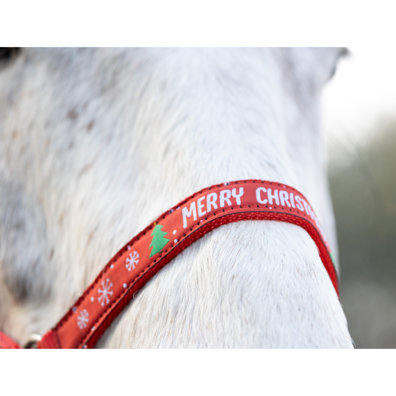Hy Equestrian Merry Christmas Head Collar and Leadrope -4
