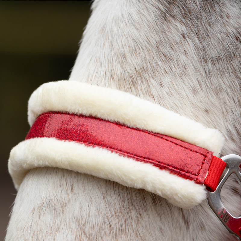 Hy Christmas Santa Headcollar - Red Sparkle-3