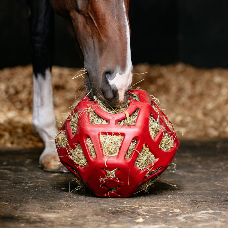 LeMieux Hay Ball - Chilli-3