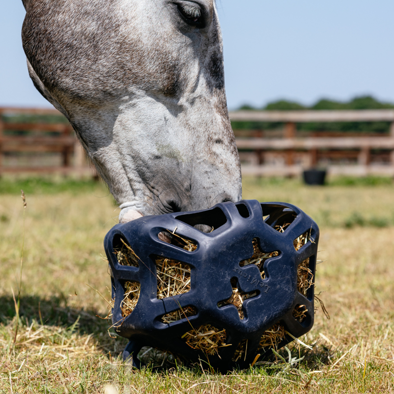 LeMieux Hay Ball - Navy-5