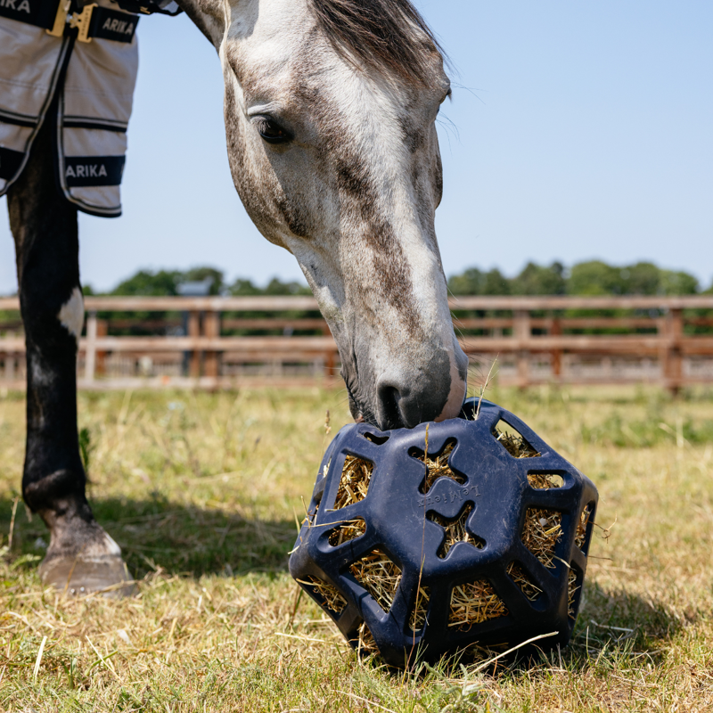 LeMieux Hay Ball - Navy-4