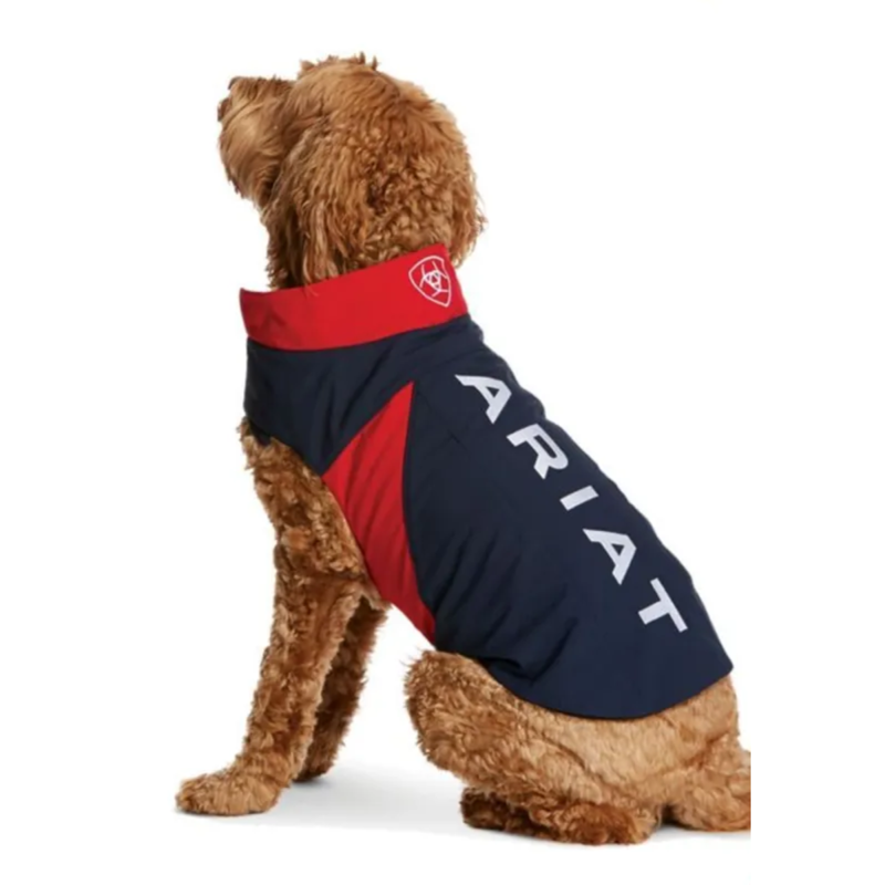 Ariat Dog Softshell Team Jacket - Team