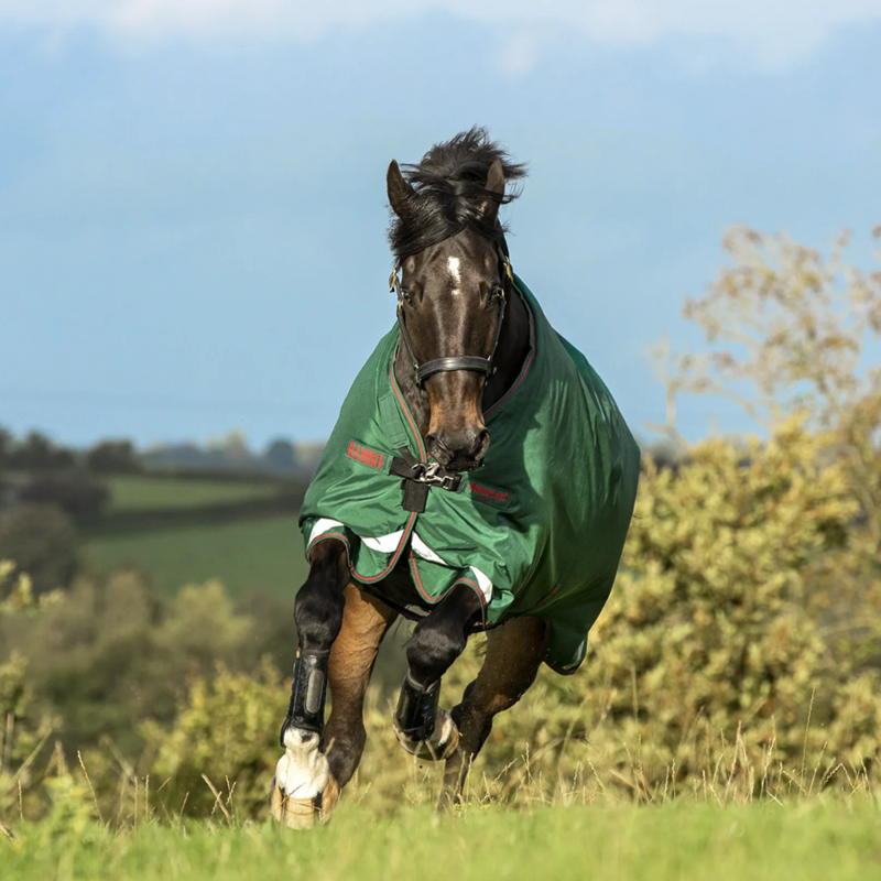 Horseware Rambo Original 100g Turnout Rug with Leg Arches - Green/Red-2