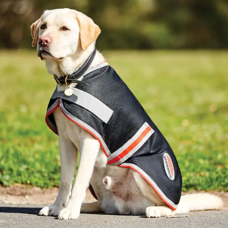 WeatherBeeta ComFiTec 1200D Therapy-Tec Dog Coat - Black/Silver/Red-1