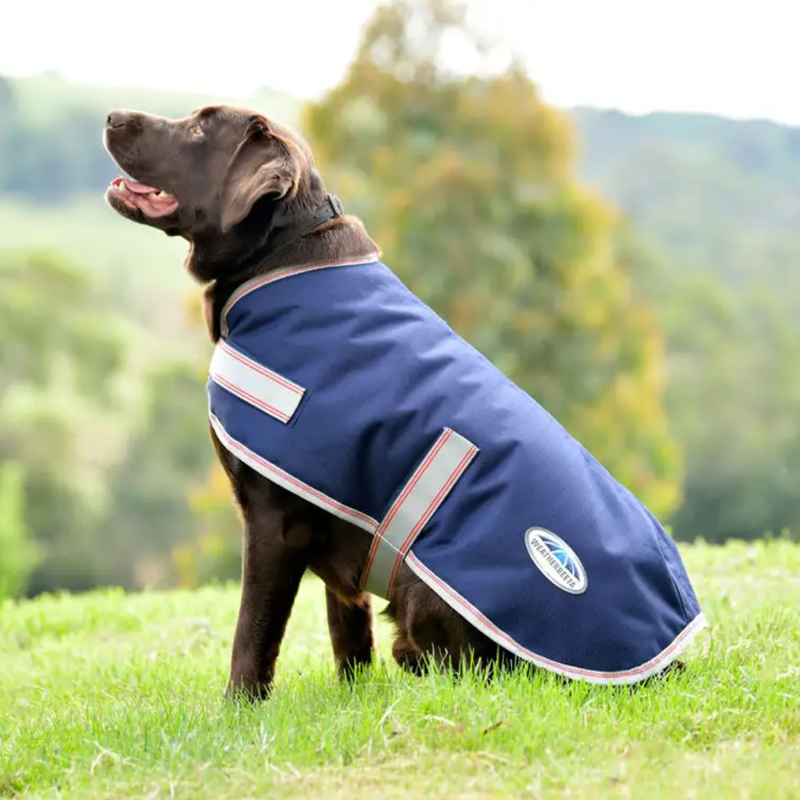 WeatherBeeta ComFiTec Essential Dog Coat - Navy/Silver/Red-1