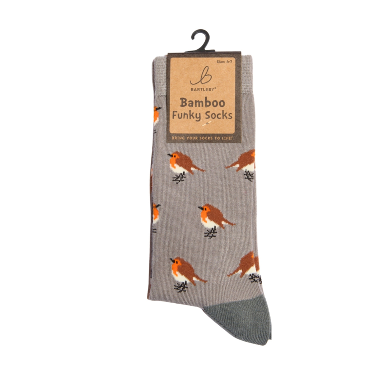 Bartleby Ladies Funky Bamboo Socks-5