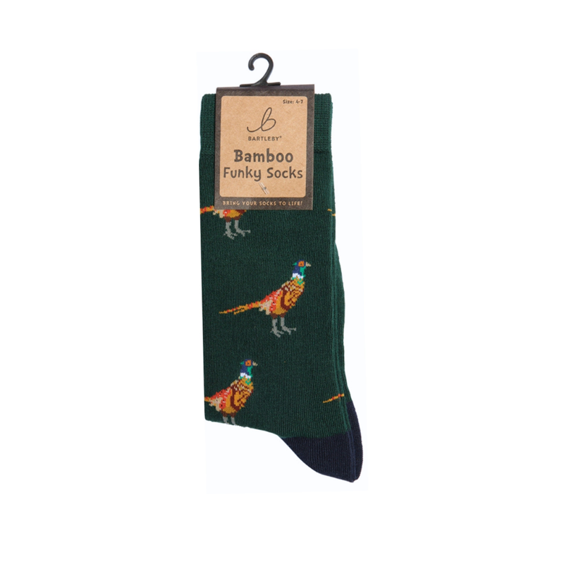 Bartleby Ladies Funky Bamboo Socks-1