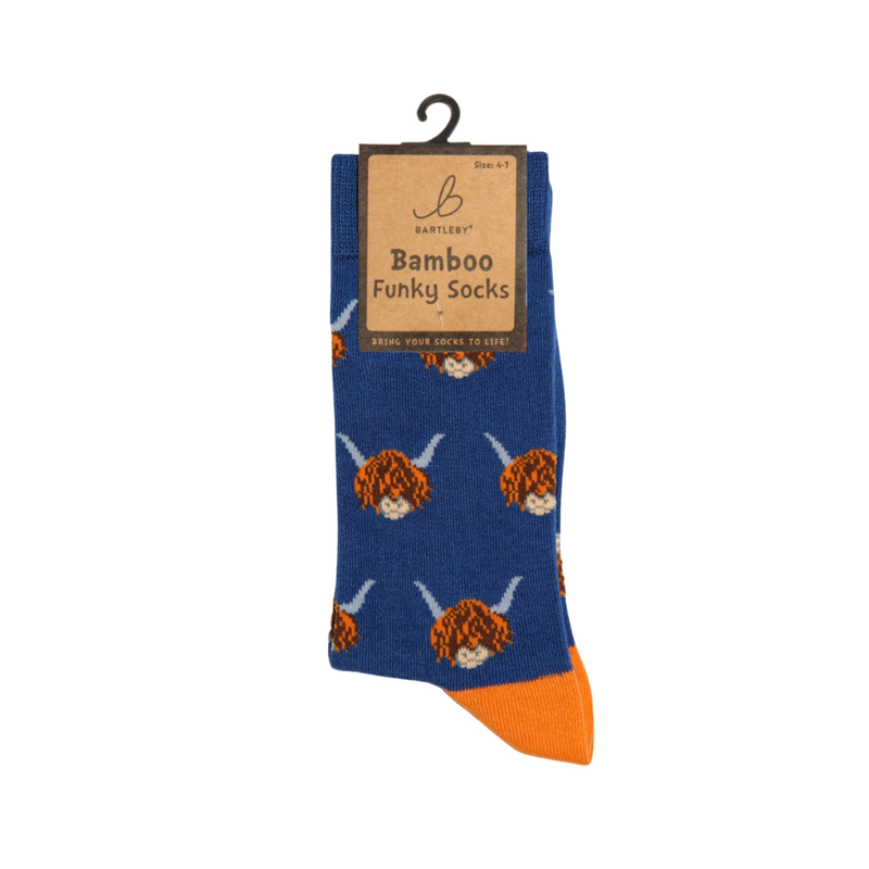 Bartleby Ladies Funky Bamboo Socks-5