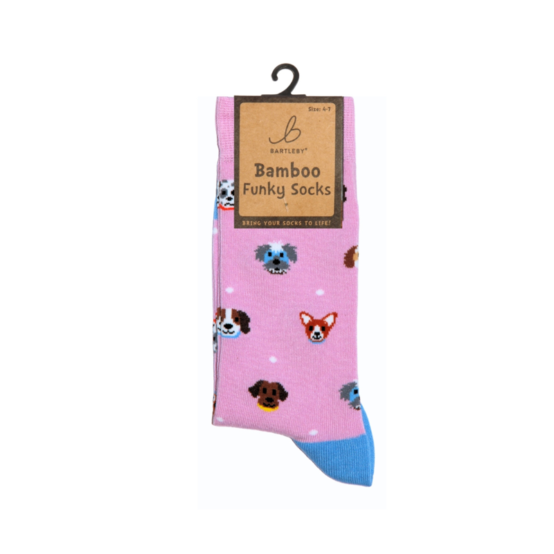 Bartleby Ladies Funky Bamboo Socks-2